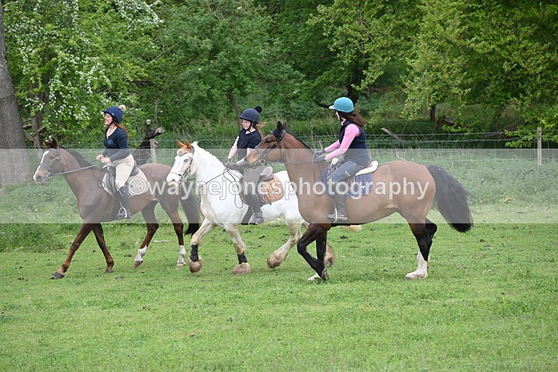 WJ6_3123 - A camera