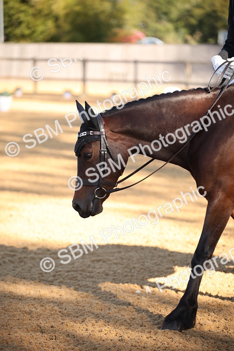 SBM_18302 - D31 - Grand Tour - PYO Open