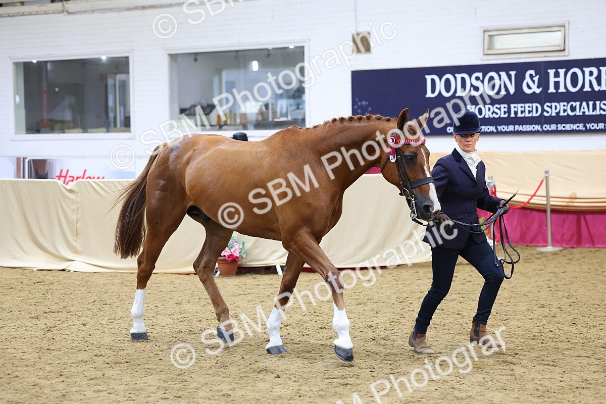 SBM_21084 - Class 902 - Supreme Final IH Veteran