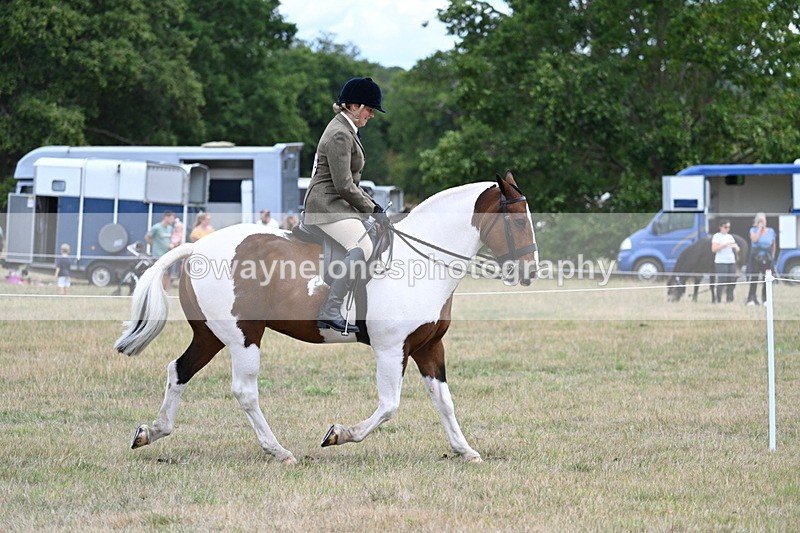 WJ7_4881 - Class 12 Ridden Cob