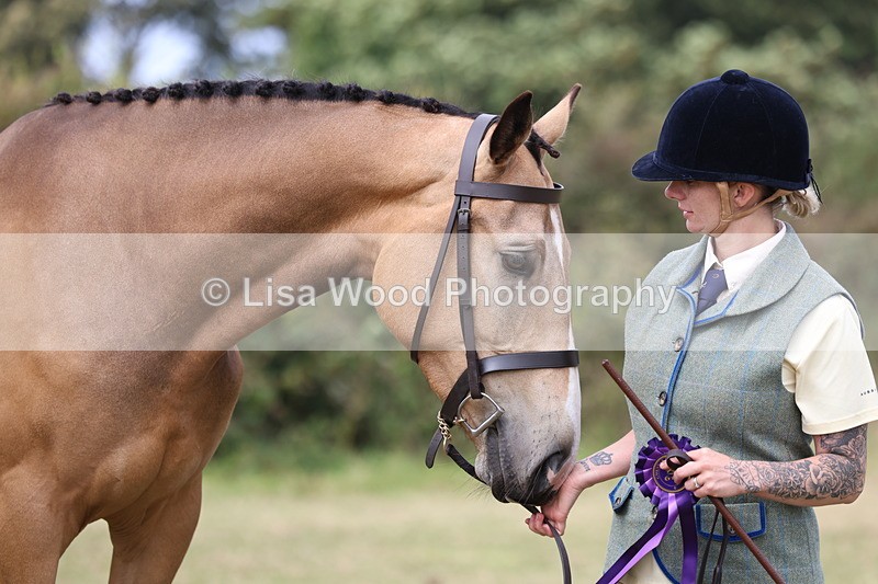 3E7A5611 - Class 20: Sports Horse In Hand