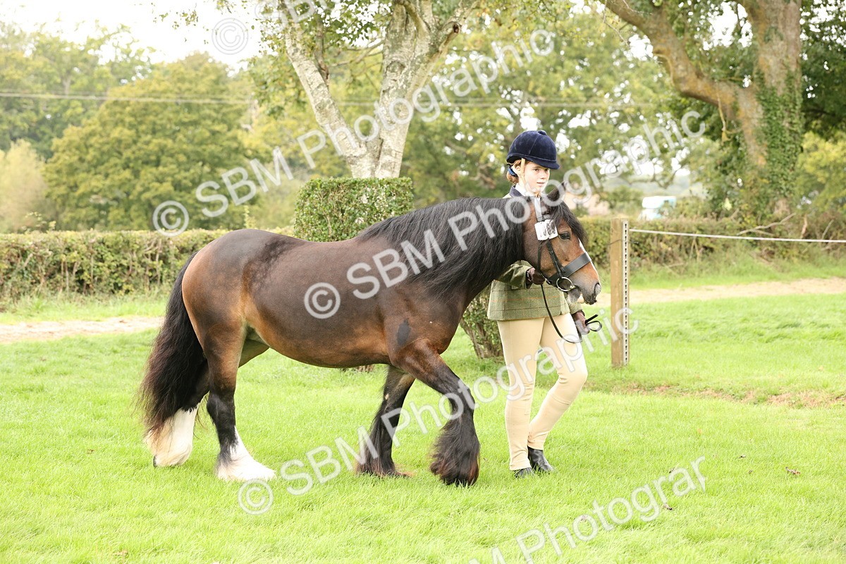 SBM_59200 - S57 - Traditional Cob In Hand