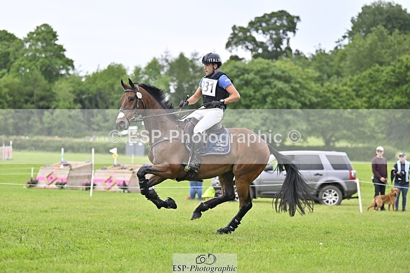 240525-161321-17002 - 231-DHI_ROCK_DANCER-Roberto_Scalisi