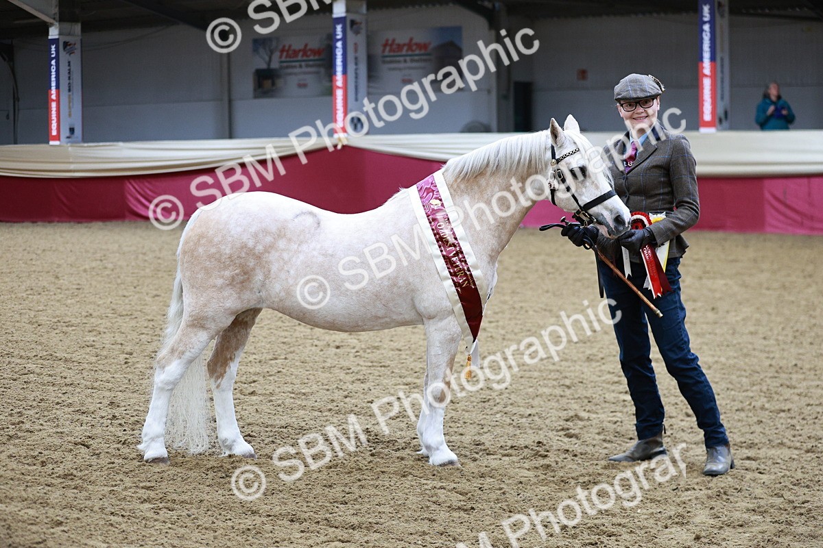 SBM_00342 - Class 1A - Area IH Diamond