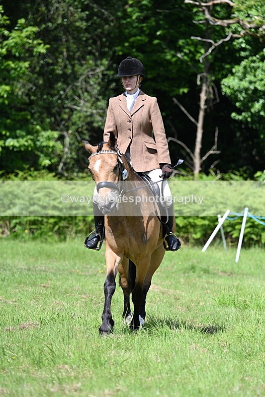 WJ7_1167 - Class 11 Condition & Turnout