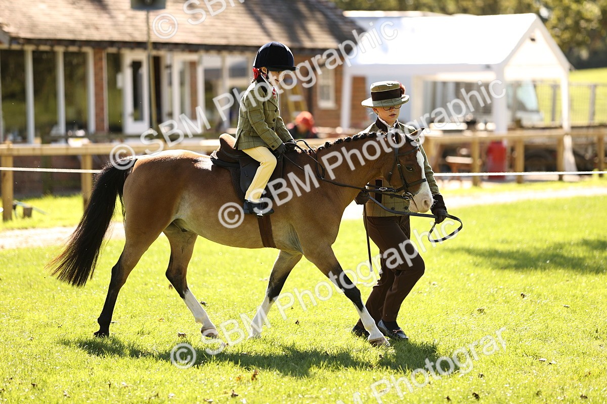 SBM_19288 - S3 - TSR Ridden Pony Showing