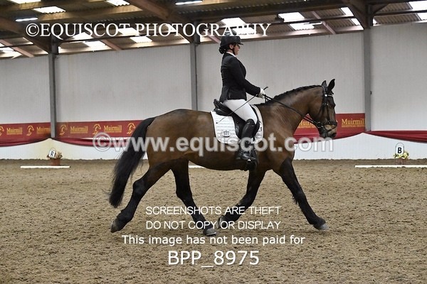 BPP_8975 - NOVICE 6