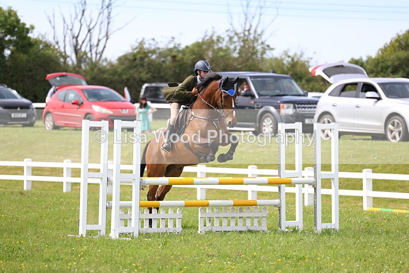 3E7A1876 - Class 13: Senior British Novice/90cm open