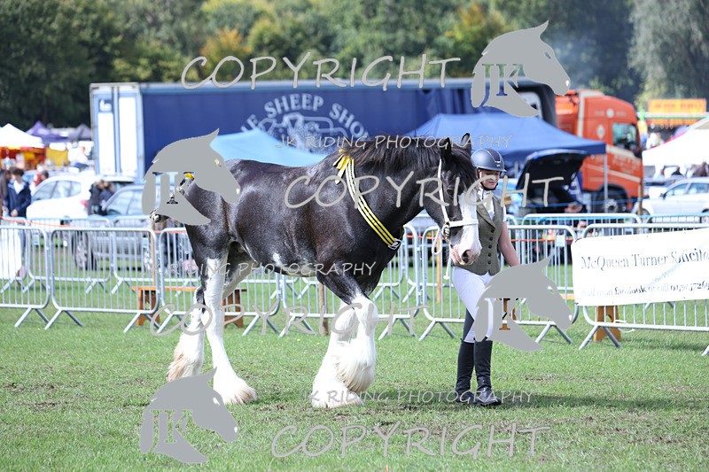 APP_3409 - Class 6 Young Handlers