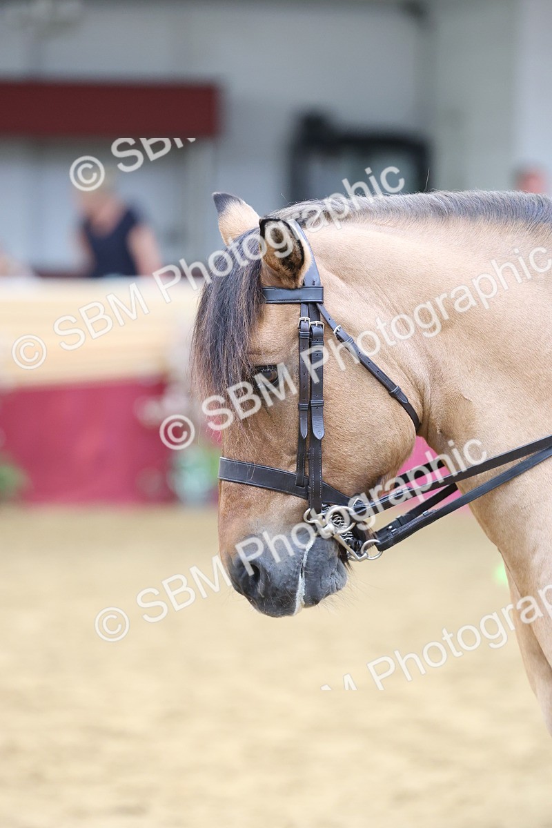 SBM_24081 - Class 905 - Supreme Final - Ridden Veteran