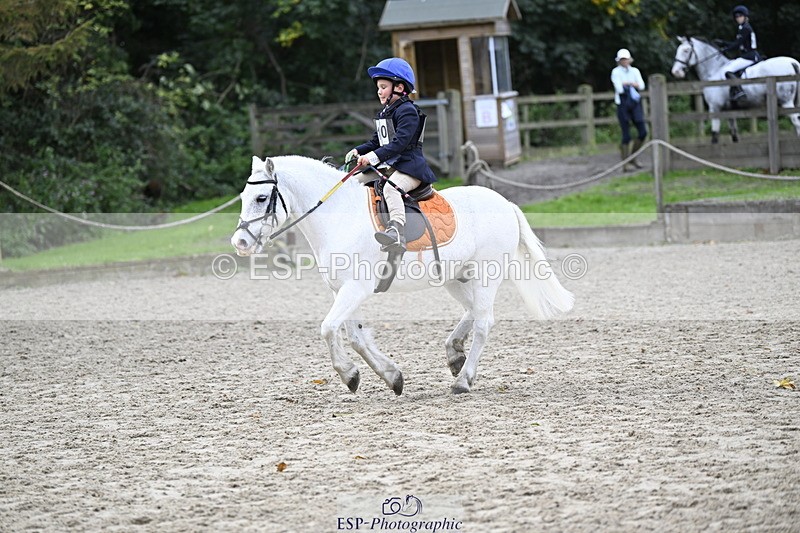 251005A-120809-03617 - Cls 08 Mini 70-75cm