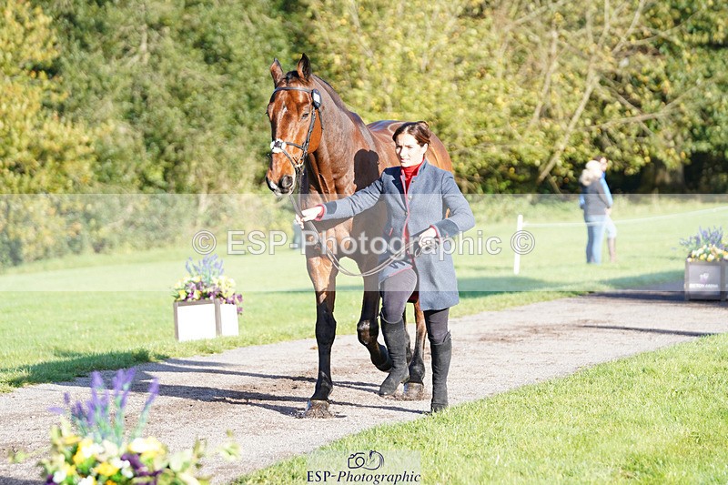 241026-101332-11692 - 053-Lois.Teal-Z7.CATASTROPHE