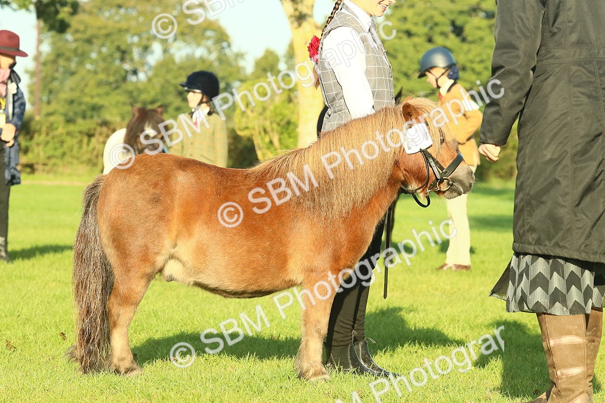 SBM_57428 - S37 - Starters In Hand Showing