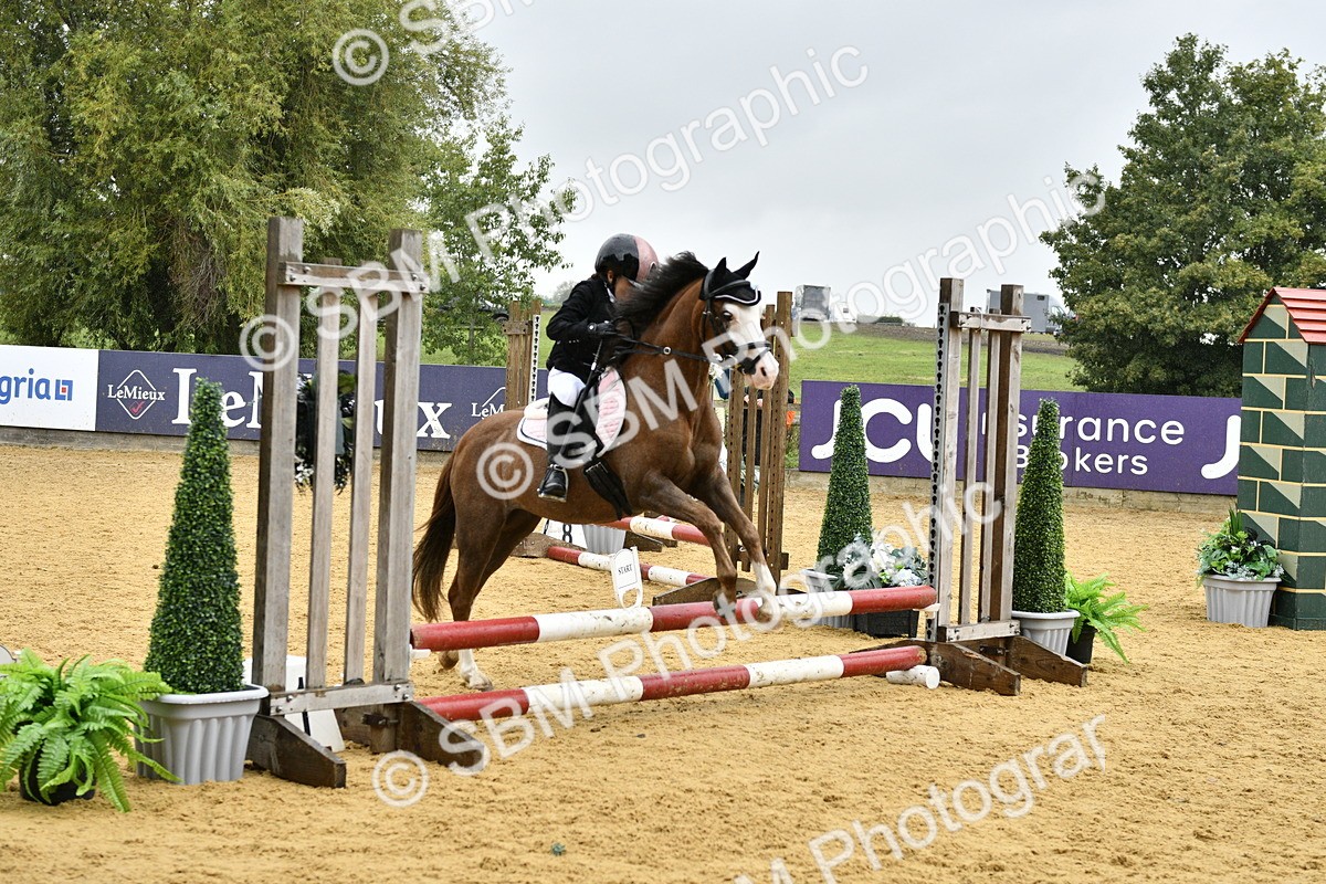 SBM_70805 - J3 - Mini Tour Junior Pony 40cm championship