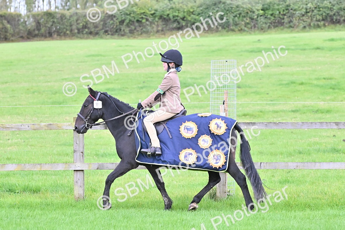 SBM_42889 - S12 - Family Horse & Pony