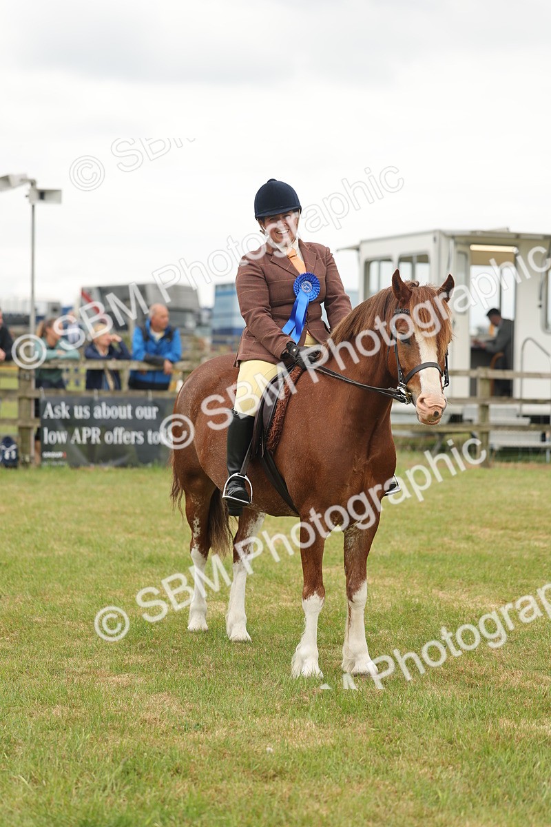SBM_07266 - Class 76-77 - Ridden M&M Welsh Ponies