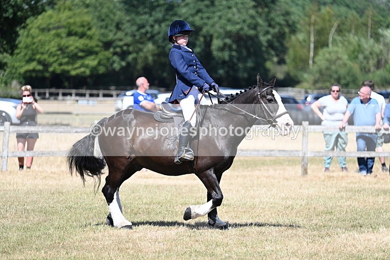 WJ7_3704 - Class 8 Ridden Veterans