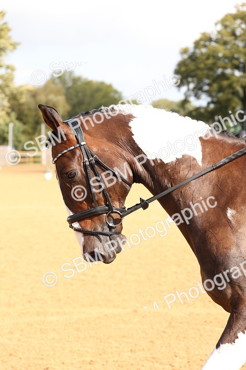 SBM_02382 - D10 - Small Tour Championship Prelim 2