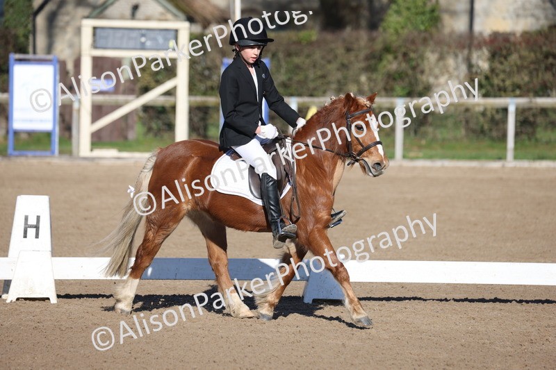 20260214-0279 - Class 3 - Prelim 2