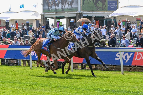 140525-Race 1-Almoshher-1592 - Race 1 2.10pm Sky Bet Race To The Ebor Jorvik Handicap