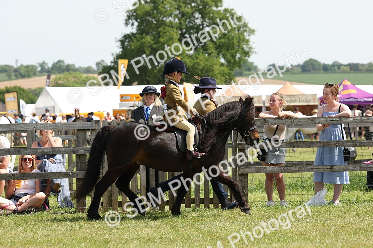 SBM_05164 - Class 24-25 - Mountain & Moorland In Hand Lead Rein and First Ridden