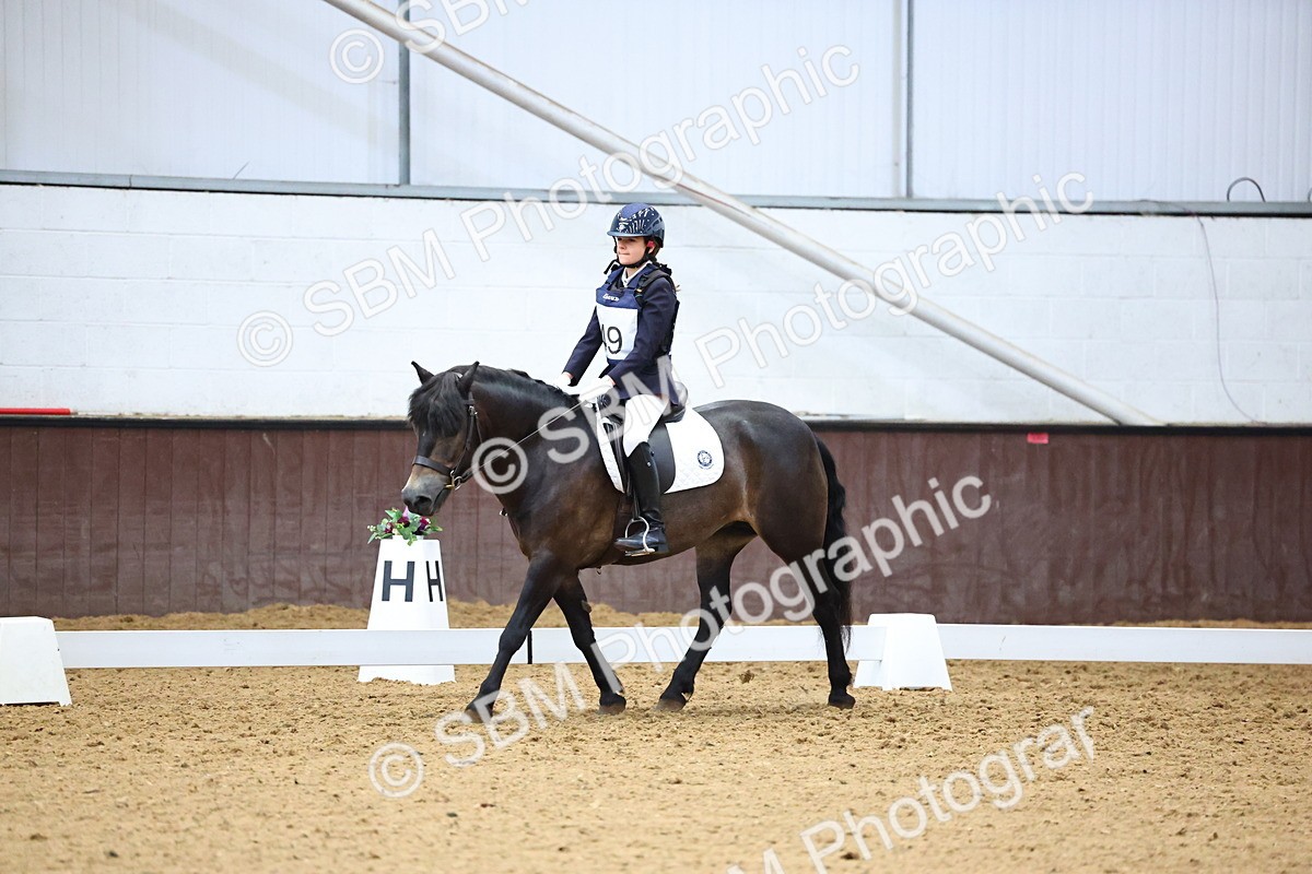 SBM_003401 - Intro 2