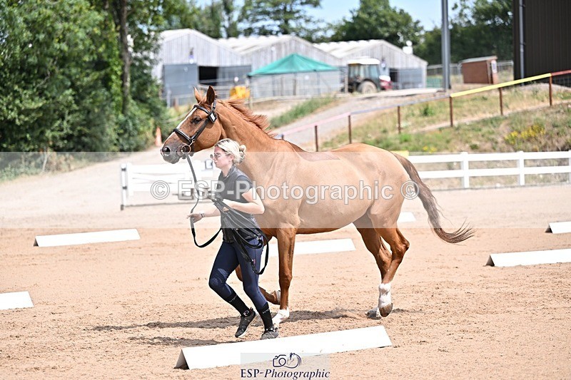 250716-125509-00215 - Trot Up 12.30 to 1.30