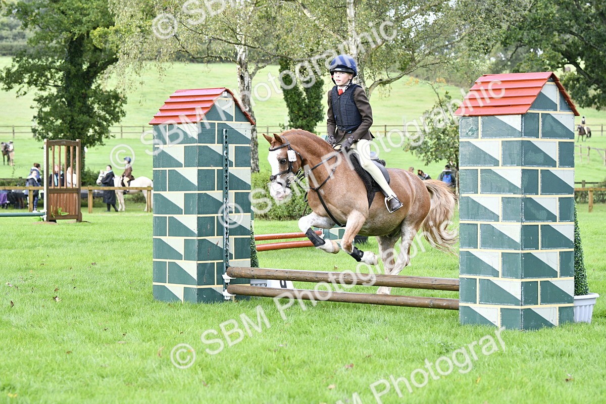 SBM_35412 - S30 - Nursery Stakes Working Hunter Pony