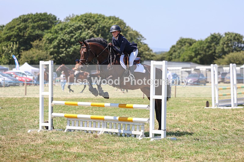3E7A4438 - Class 10: Senior British Novice/90cm open