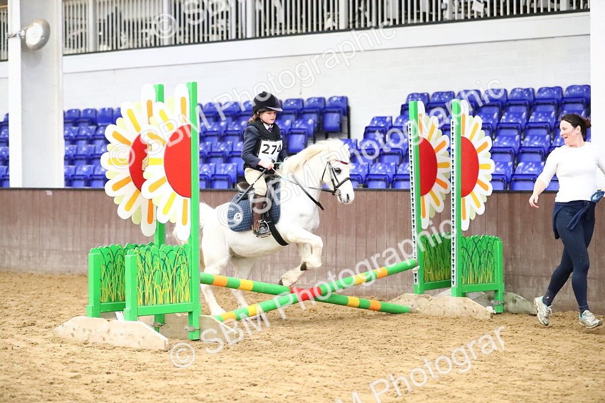 SBM_000499 - Class 2 - 40cm