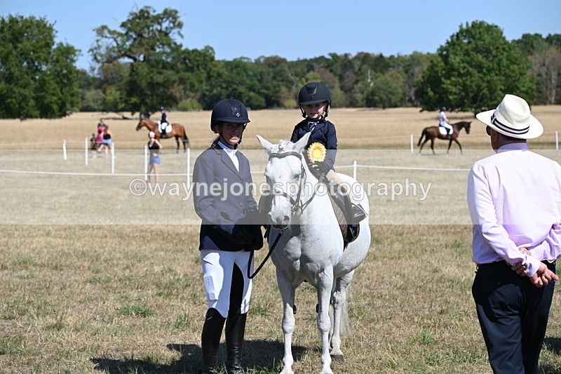 WJ6_8148 - Class 36 Lead Rein