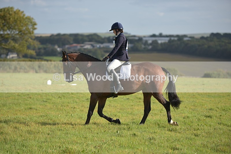 RAY_7274 - Class 2B: Trekenning Open: Dressage