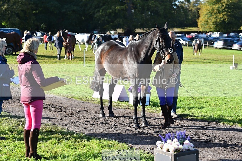 231022-102746-22496 - 472-SIR.LARRY.II-Alice.Wharton-TrotUp+SJ