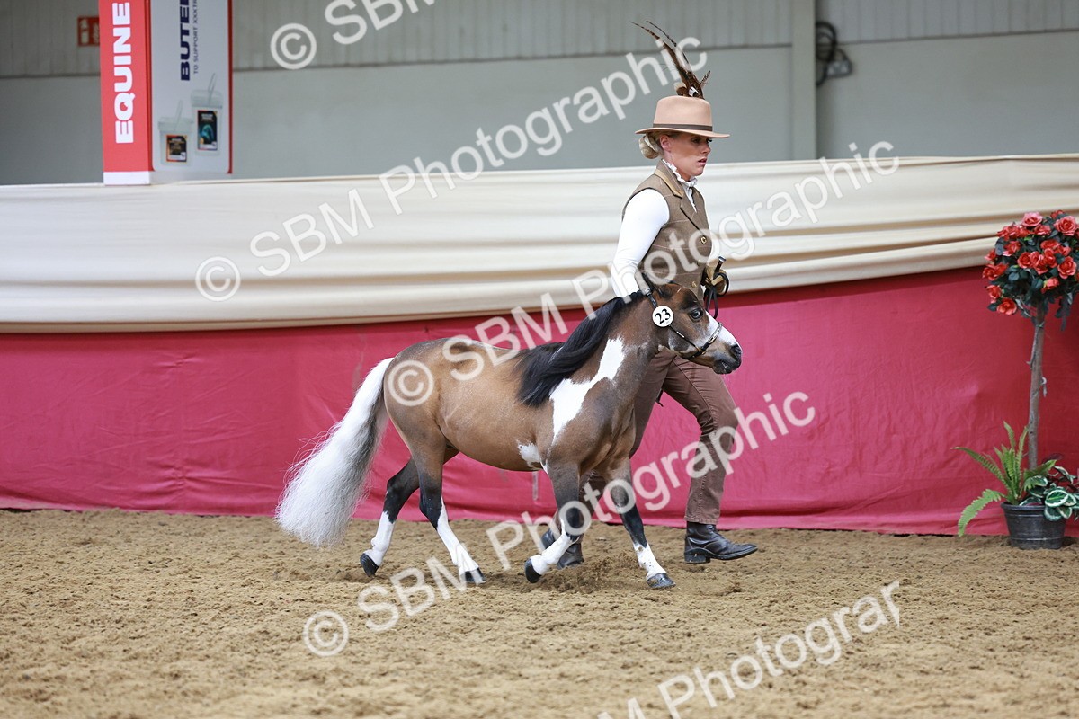 SBM_15720 - Class 110 - IH  Minature Horse