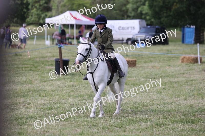 20260614-0662 - Class 20 - Beginners Working Hunter Pony