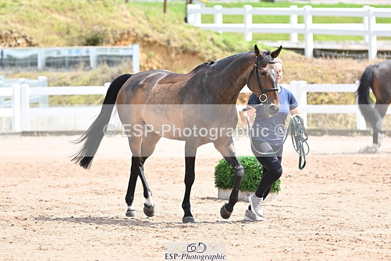 240717A-144635-02280 - Trot Up 2pm to 3pm - This folder is not in time order