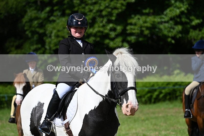 WJ7_0818 - Class 8 First Rally Pony