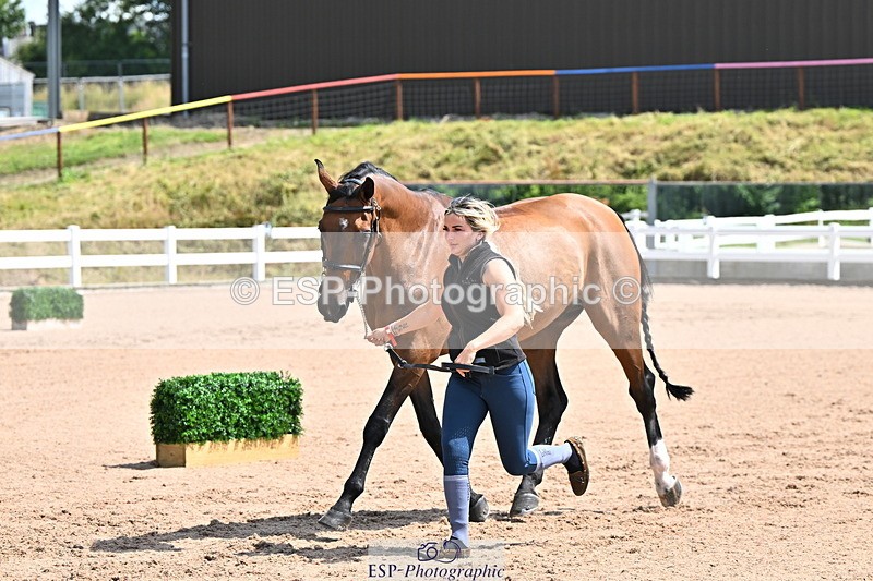 240718A-105240-01011 - Trot Up 11am to 12pm