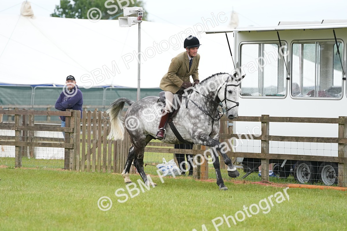 SBM_12705 - Class 97-98 - LIHS BSHA Rising Star Working Show Horse Hunter