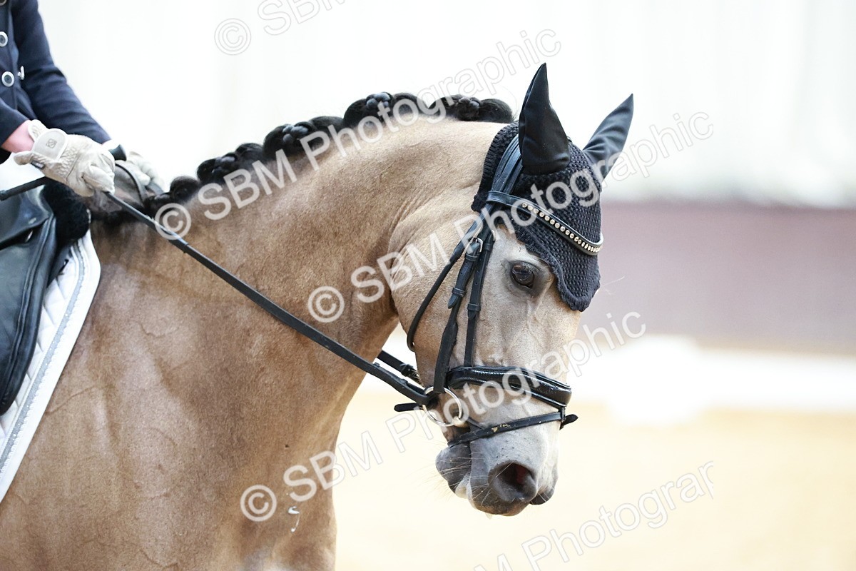 SBM_017213 - Class15 - FEI Pony