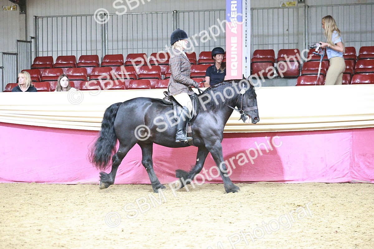 SBM_08757 - Class 12R - Regional Ridden Pre-Vet