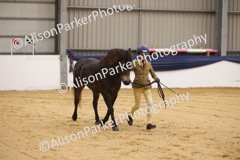 20260913-0125 - Class 121 - Young Handler 5-16