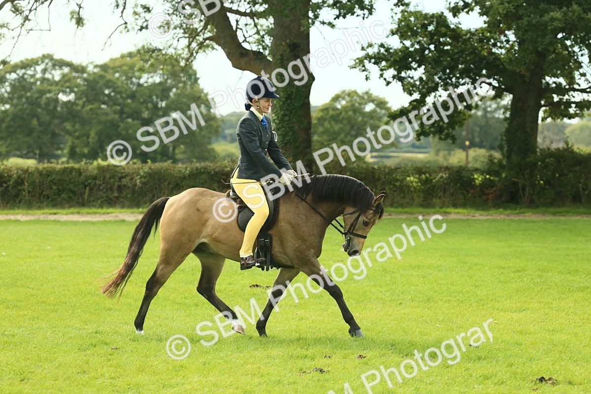 SBM_69805 - S59 - Mountain & Moorland Ridden Small Breeds