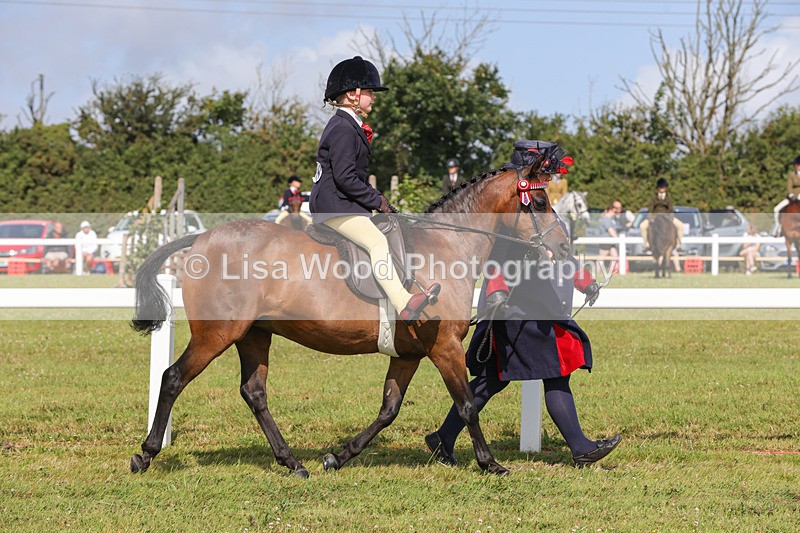 1X9A3612 - Class 29: Lead Rein SP/SHP