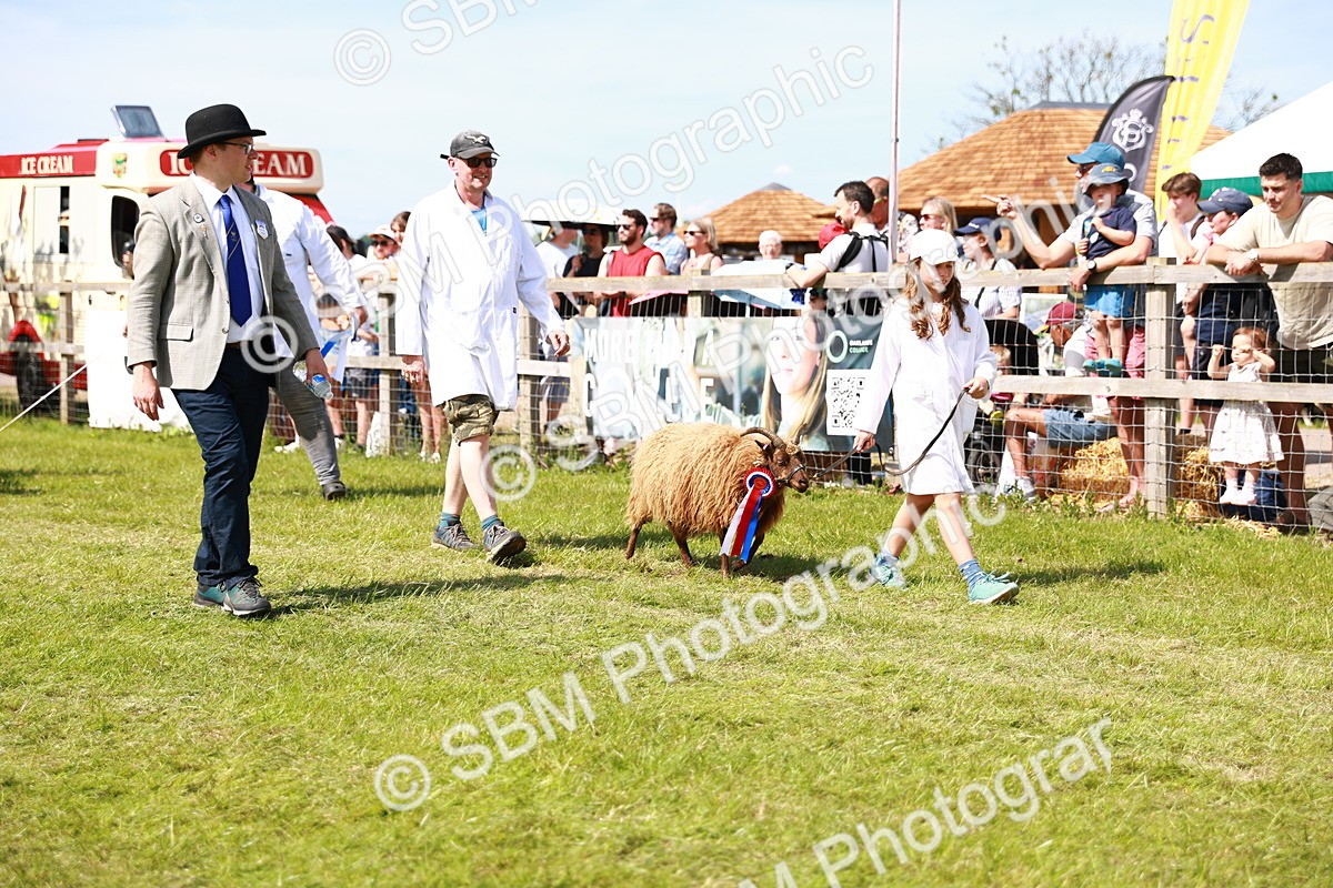 SBM_08318 - Grand Parade