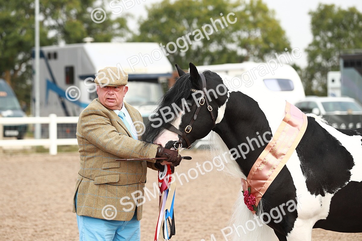 SBM_09586 - Class 201 Best Turned Out IH