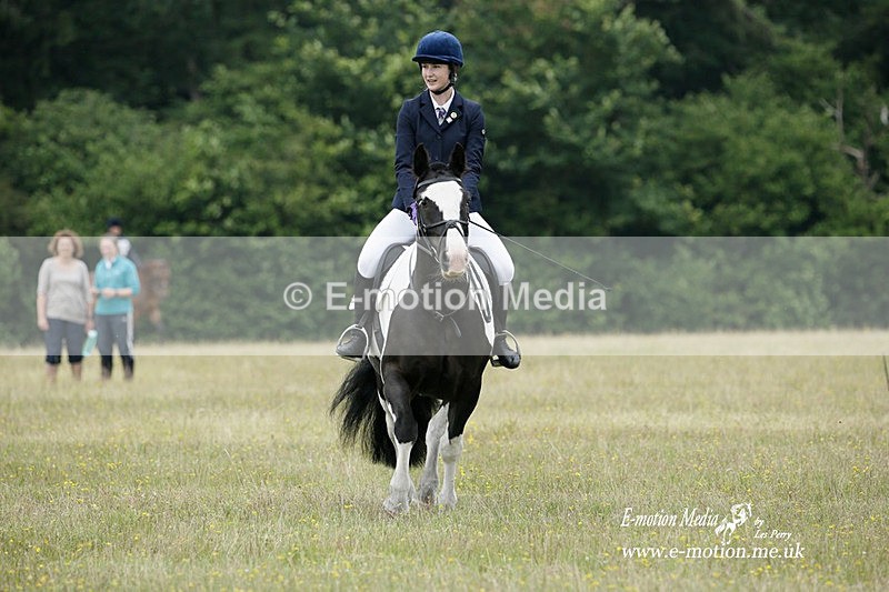 BVRC 030721 18 - Bourne Valley Riding Club Dressage 03/07/21