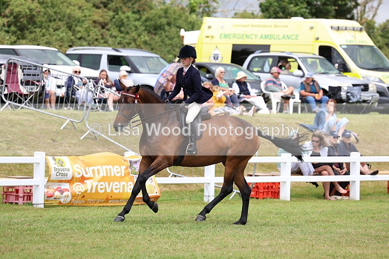 3E7A0967 - Class 8: Open Riding Horse/Hack