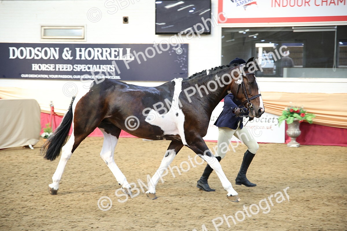 SBM_24785 - Class 906 - Supreme Final - Ridden Pre Vet