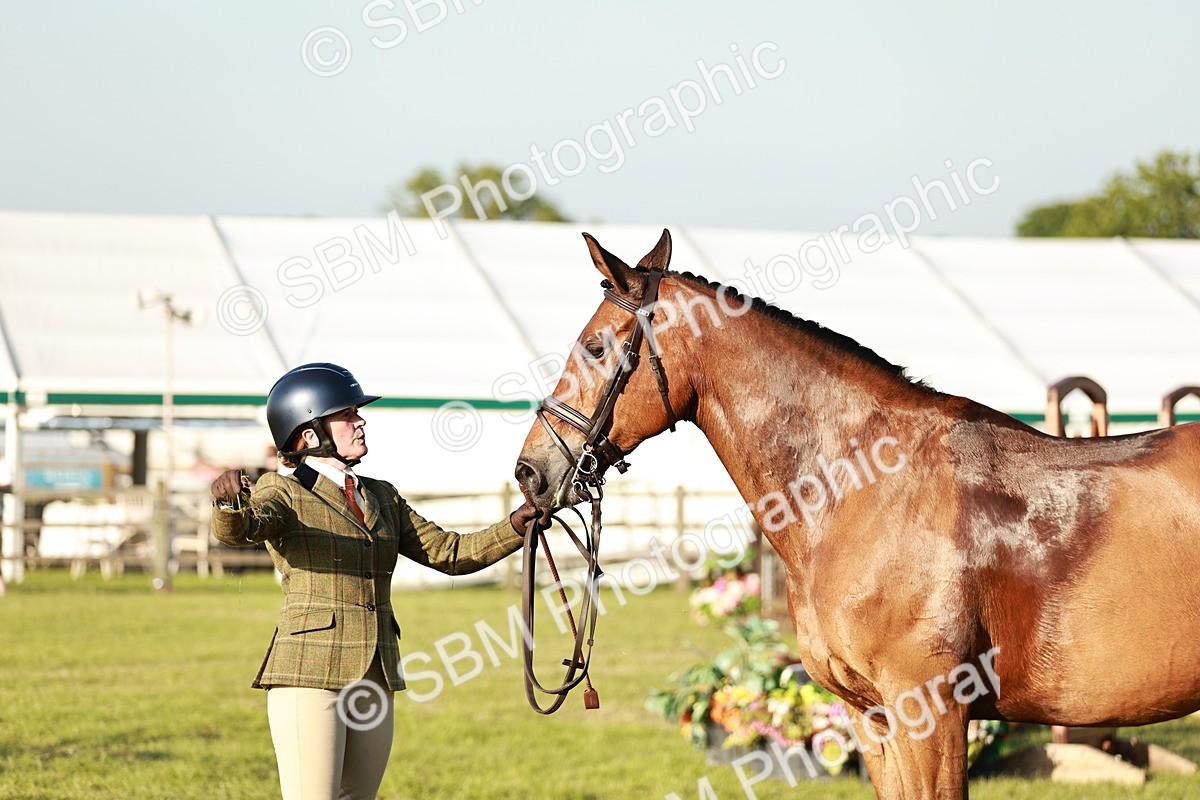 SBM_20538 - Class 117-119 - Sport Horse Working Hunter